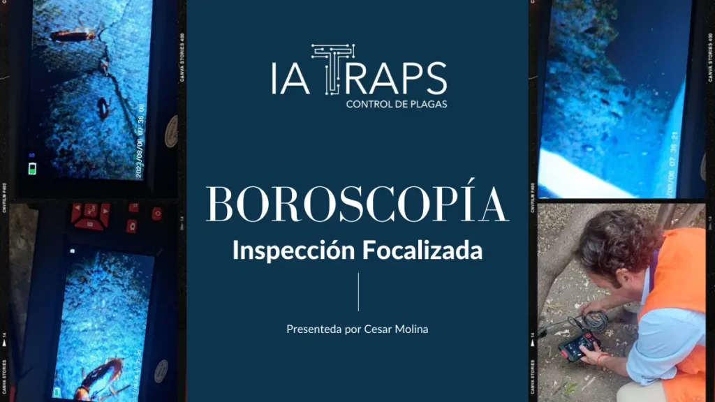 Inspección Boroscópica Preventiva